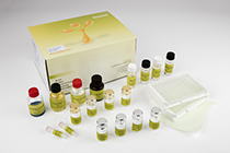 Kits ELISA de alta sensibilidad