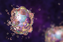 Apoptosis