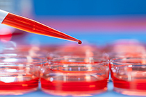Cell Biolabs: 15% de descuento