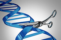 Synthego - CRISPR-Cas9