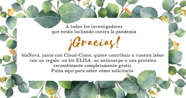 Regalo investigadores covid-19