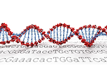 Genomic services Qiagen