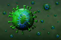 Aislamiento RNA viral
