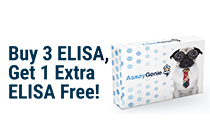 ELISA interleukinas 4x3