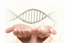 🧬 Purificar DNA/RNA sin complicarte, Alphagene Bio