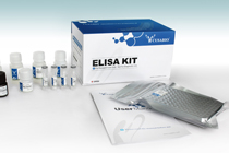 Muchas muestras que analizar por ELISA? 