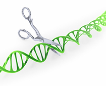 CRISPR_Cas9 CRISPR_Cas9