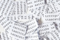 Servicios de NGS - Queremos ayudarle