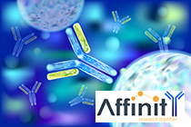 Anticuerpos Affinity: ECL de regalo