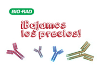 Bajamos los precios de BIO-RAD Antibodies