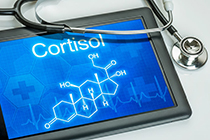 Kit ELISA para Cortisol: -30%