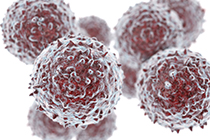 Lentivirus para expresin de protenas de SARS-CoV-2