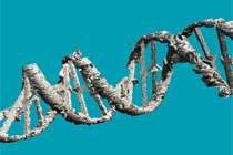 -20% en kits de Estr�s Oxidativo