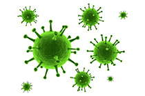 Detecci�n de COVID-19 por RT-qPCR
