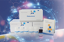 Metabolismo Elabscience