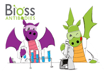 Anticuerpo secundario Bioss, de regalo