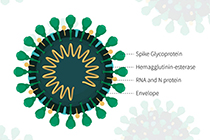 Protenas recombinantes de las variantes SARS-CoV-2