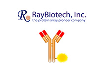 RayBiotech