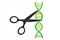 KO por CRISPR sin complicaciones: Pools y Clones Express