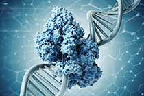 Estructura del ADN: 200  de descuento