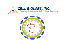 🦠 Haz tus virus virales con los kits de Cell Biolabs