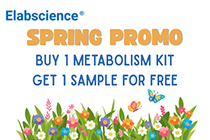 Muestra gratuita de kits de metabolismo de Elabscience