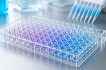 -10% en kits ELISA de Cusabio seleccionados