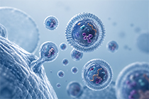 �Trabajas con ves�culas extracelulares (EVs) procedentes de suero?